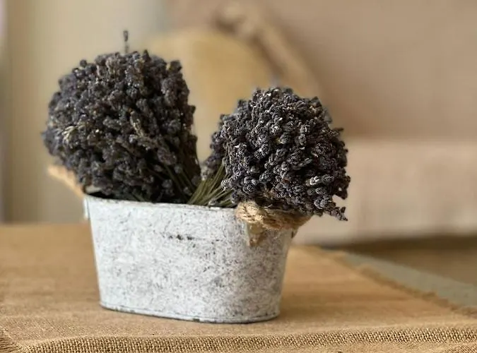 Edmond ヘーヴィーズ